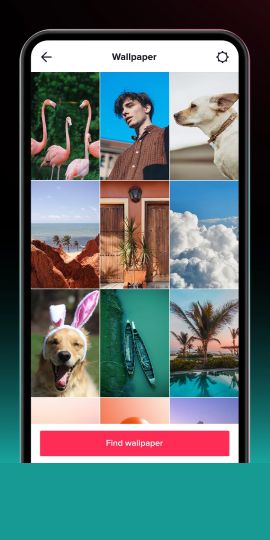 TikTok Live Wallpaper